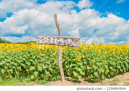 Himawari no Sato in Hokkaido Kitauru Town 129464944