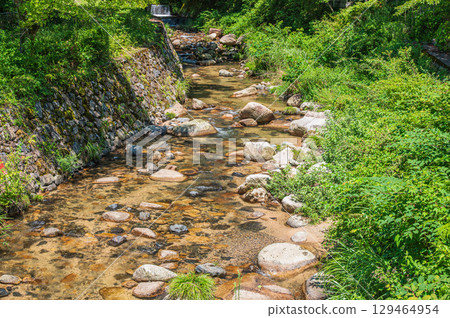Makino's clear stream, Hachioji River, Makino Town, Takashima City, Shiga Prefecture 129464954