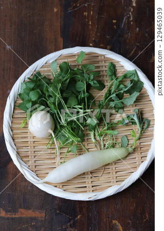 七種春天的草藥 129465039