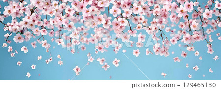 藍天下飛舞的櫻花花瓣背景素材 藍天下飛舞的櫻花花瓣背景素材 129465130