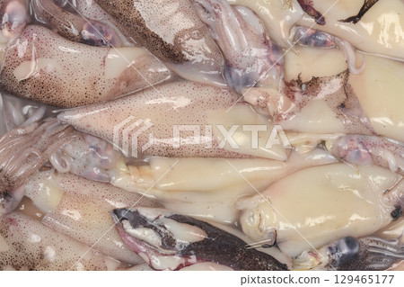 Raw Patagonian squid 129465177