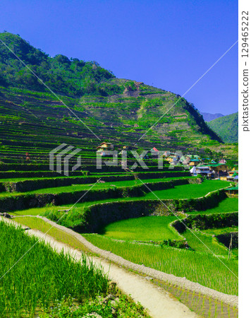 Banaue, Philippines 129465222