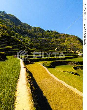 Banaue, Philippines Banaue, Philippines 129465257