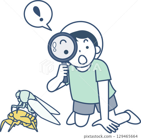 A boy observing the emergence of a cicada with a magnifying glass 129465664