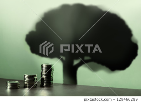 Coins stacked cast shadow tall large tree, reflecting financial growth, smart investment, and hopeful economic outlook Coins stacked cast shadow tall large tree, reflecting financial growth, smart investment, and hopeful economic outlook 129466289