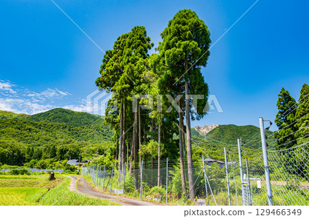 滋賀縣高島市牧野町的田園風光 129466349