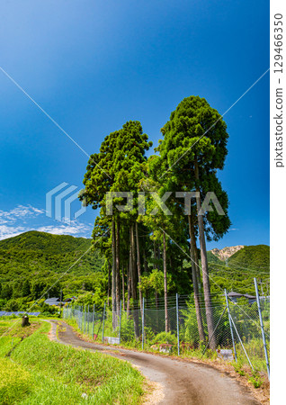 Rural scenery of Makino Town, Takashima City, Shiga Prefecture 129466350