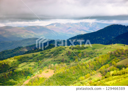mountain landscape of ukraine in spring. rolling countryside scenery in dappled light. forest in lush green foliage on a hill under cloudy sky. scenic view in to the distant valley of mizhhirya region 129466389