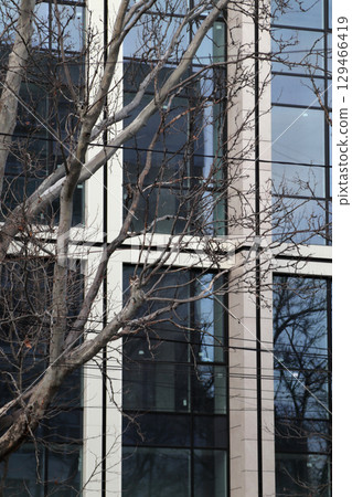 Tree branches in front of the glass facade. Tree branches in front of the glass facade. 129466419