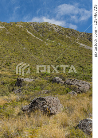 Scenery along the Dobson Nature Walk in Arthur's Pass National Park, New Zealand Scenery along the Dobson Nature Walk in Arthur's Pass National Park, New Zealand 129466729
