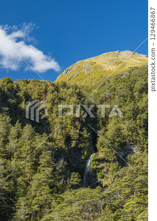 Bridal Veil Falls in Arthur's Pass National Park, Canterbury, New Zealand Bridal Veil Falls in Arthur's Pass National Park, Canterbury, New Zealand 129466867