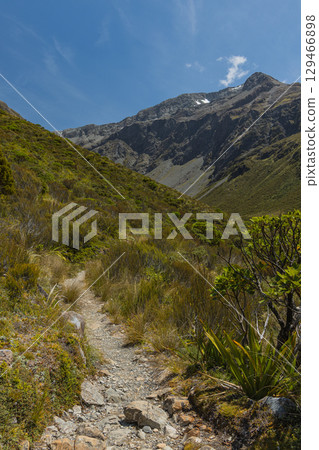 View from the Otira Valley Track in Arthur's Pass National Park, New Zealand View from the Otira Valley Track in Arthur's Pass National Park, New Zealand 129466898