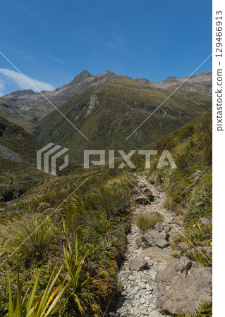 Mount Temple as seen from the Otira Valley Track in Arthur's Pass National Park, New Zealand Mount Temple as seen from the Otira Valley Track in Arthur's Pass National Park, New Zealand 129466913