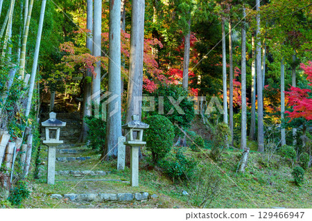 秋葉的新教徒Benzaiten 129466947