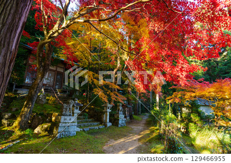 Autumnal Leaf's Protestant Benzaiten Autumnal Leaf's Protestant Benzaiten 129466955