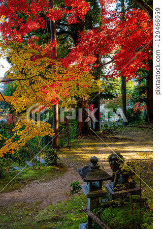 Autumnal Leaf's Protestant Benzaiten Autumnal Leaf's Protestant Benzaiten 129466959