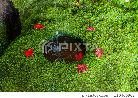 秋葉的新教徒Benzaiten 129466962