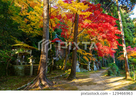 秋葉的新教徒Benzaiten 129466963