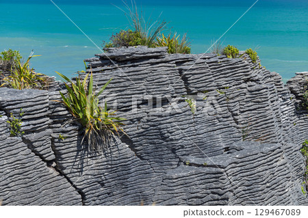 Pancake Rocks in Punakaiki on the West Coast of New Zealand Pancake Rocks in Punakaiki on the West Coast of New Zealand 129467089