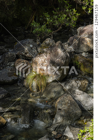 紐西蘭坎特伯雷亞瑟隘口國家公園千禧步道的風景 紐西蘭坎特伯雷亞瑟隘口國家公園千禧步道的風景 129467159