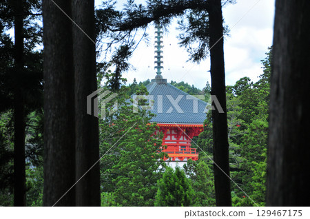 View of the Konpon Daito Pagoda through a gap in the trees on the Koyasan Women's Path [Koyasan Town, Wakayama Prefecture] 129467175