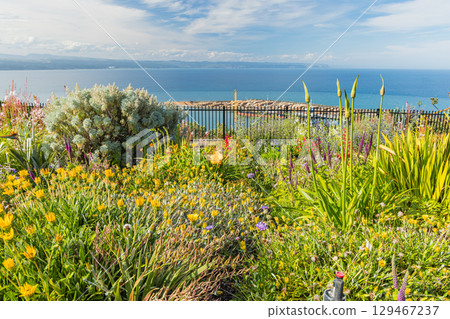 從紐西蘭霍克斯灣納皮爾的布拉夫山瞭望台望去,可以看到納皮爾港 從紐西蘭霍克斯灣納皮爾的布拉夫山瞭望台望去,可以看到納皮爾港 129467237
