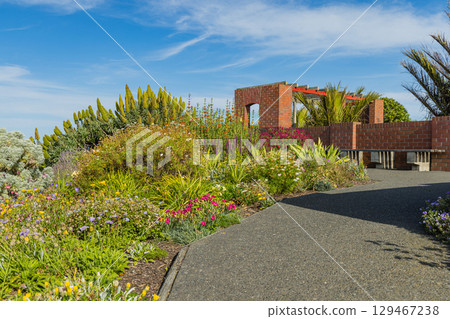 Bluff Hill Lookout Botanical Gardens in Napier, Hawke's Bay, New Zealand 129467238