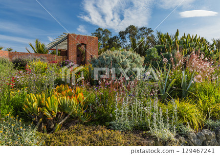 紐西蘭霍克斯灣納皮爾的布拉夫山瞭望台植物園 129467241