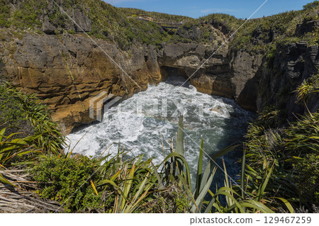 紐西蘭西海岸普納凱基的煎餅岩湧水池 129467259