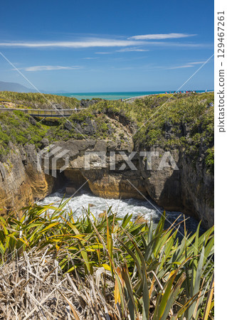 紐西蘭西海岸普納凱基的煎餅岩湧水池 紐西蘭西海岸普納凱基的煎餅岩湧水池 129467261