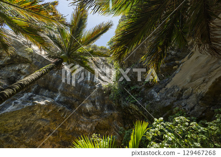 A view of the caves in Punakaiki, West Coast, New Zealand 129467268