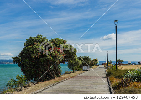 紐西蘭霍克斯灣納皮爾阿胡里里香水角的海灘景觀 紐西蘭霍克斯灣納皮爾阿胡里里香水角的海灘景觀 129467458