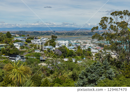 View of the cityscape from Bluff Hill Lookout in Napier, Hawke's Bay, New Zealand 129467470