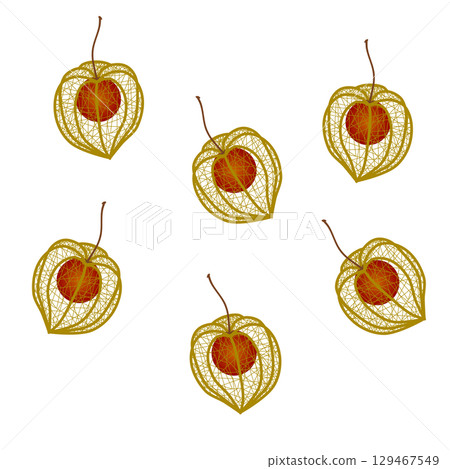 細月的插圖 細月的插圖 129467549