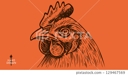 Chicken, farm hen sketch. Hand drawn. Vintage retro print hen, black drawing chicken, engrave old school style. Sketch artwork silhouette rooster, chicken, hen, white background. Vector Illustration 129467569