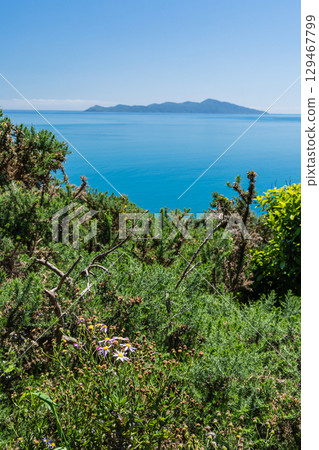 Kapiti Island as seen from the Paekakariki Escarpment Track, New Zealand 129467799