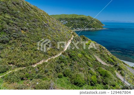 View of the Tasman Sea from the Paekakariki Escarpment Track in New Zealand View of the Tasman Sea from the Paekakariki Escarpment Track in New Zealand 129467804