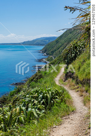 從紐西蘭的帕卡卡里基懸崖步道欣賞塔斯曼海 129467808
