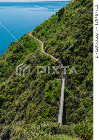 紐西蘭帕卡卡里基懸崖步道上的吊橋 129467812