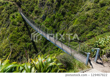 紐西蘭帕卡卡里基懸崖步道上的吊橋 129467822