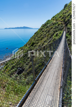 Suspension bridge over the Paekakariki Escarpment Track and Kapiti Island, New Zealand Suspension bridge over the Paekakariki Escarpment Track and Kapiti Island, New Zealand 129467827