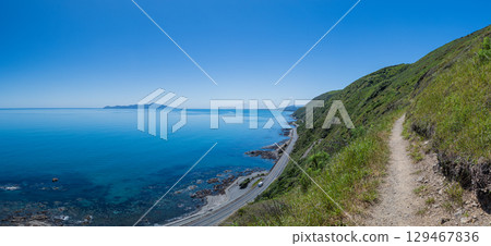 從紐西蘭帕卡卡里基懸崖步道俯瞰卡皮蒂島 129467836