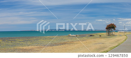 紐西蘭霍克斯灣納皮爾海灘風景 129467850