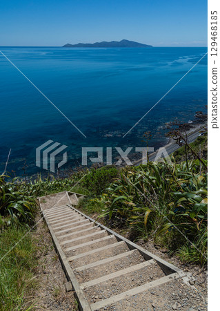 從紐西蘭帕卡卡里基懸崖步道俯瞰卡皮蒂島 129468185