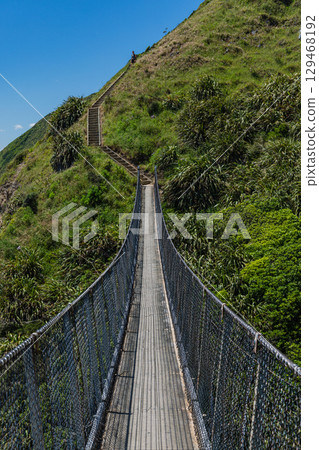 Suspension bridge over the Paekakariki Escarpment Track, New Zealand 129468192