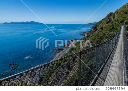 橫跨紐西蘭帕卡卡里基懸崖步道和卡皮蒂島的吊橋 129468194