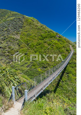 紐西蘭帕卡卡里基懸崖步道上的吊橋 129468200