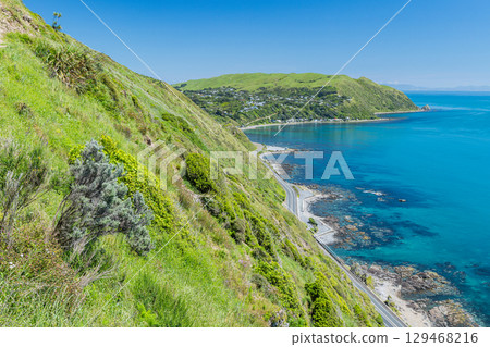 從紐西蘭的帕卡卡里基懸崖步道欣賞塔斯曼海 129468216