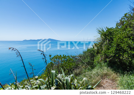 從紐西蘭帕卡卡里基懸崖步道俯瞰卡皮蒂島 129468222