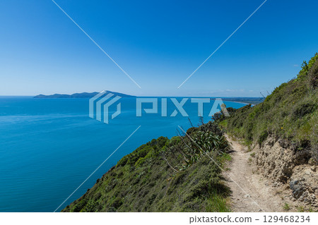 從紐西蘭帕卡卡里基懸崖步道俯瞰卡皮蒂島 從紐西蘭帕卡卡里基懸崖步道俯瞰卡皮蒂島 129468234